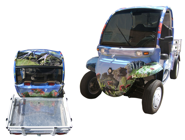 art_cars_wildflower_power