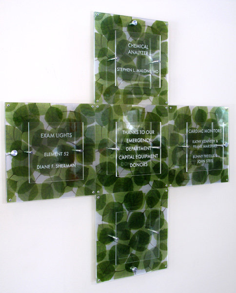 donor_TMC_ER_2011
