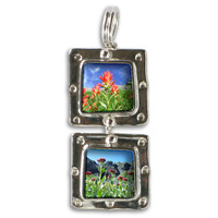 double_color_flowers