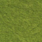 olive_other